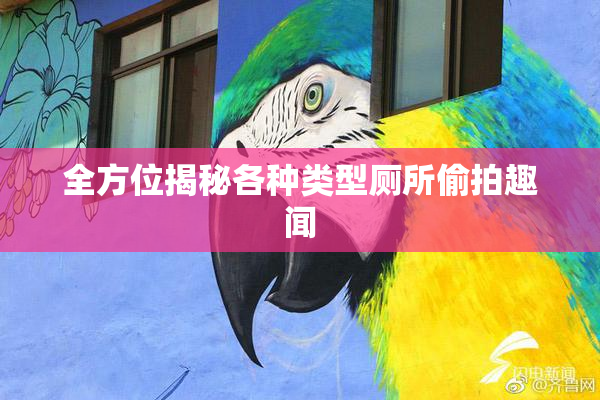全方位揭秘各种类型厕所偷拍趣闻