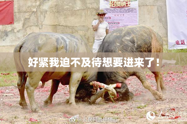 好紧我迫不及待想要进来了！