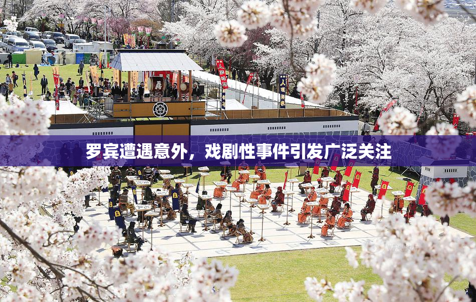 罗宾遭遇意外，戏剧性事件引发广泛关注