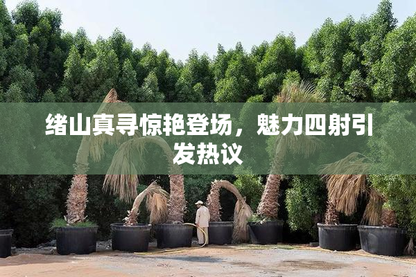 绪山真寻惊艳登场，魅力四射引发热议