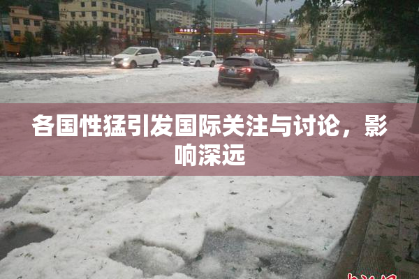 各国性猛引发国际关注与讨论，影响深远