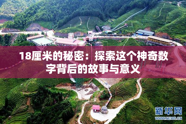 18厘米的秘密：探索这个神奇数字背后的故事与意义