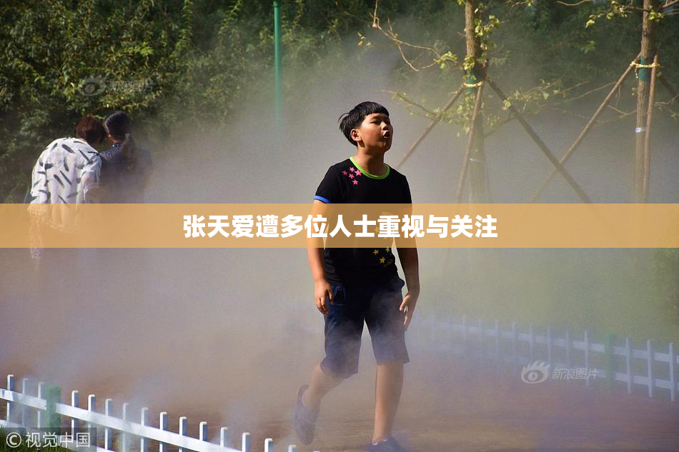 张天爱遭多位人士重视与关注