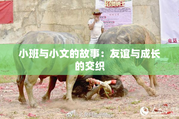 小班与小文的故事：友谊与成长的交织