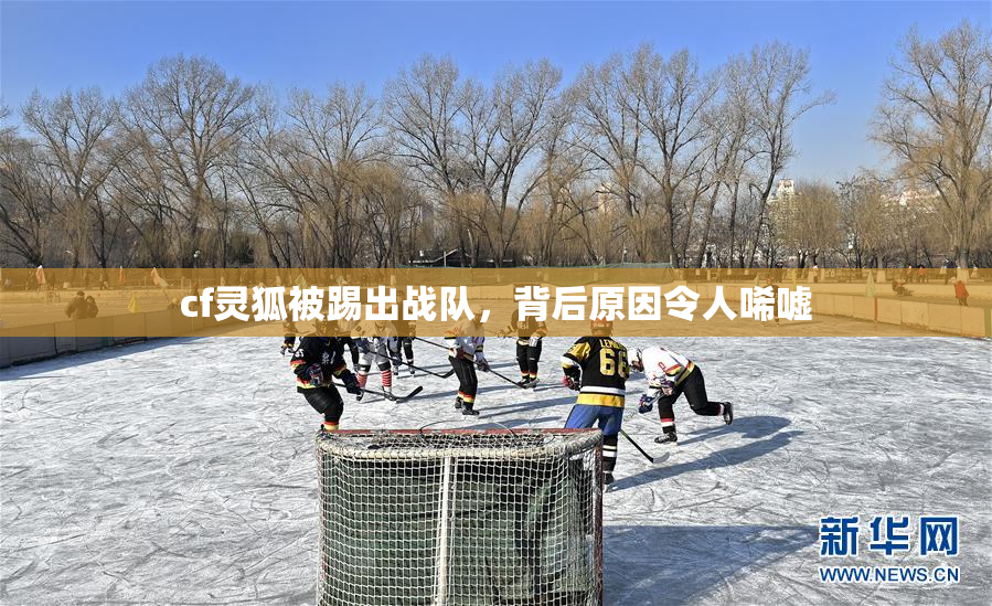 cf灵狐被踢出战队，背后原因令人唏嘘