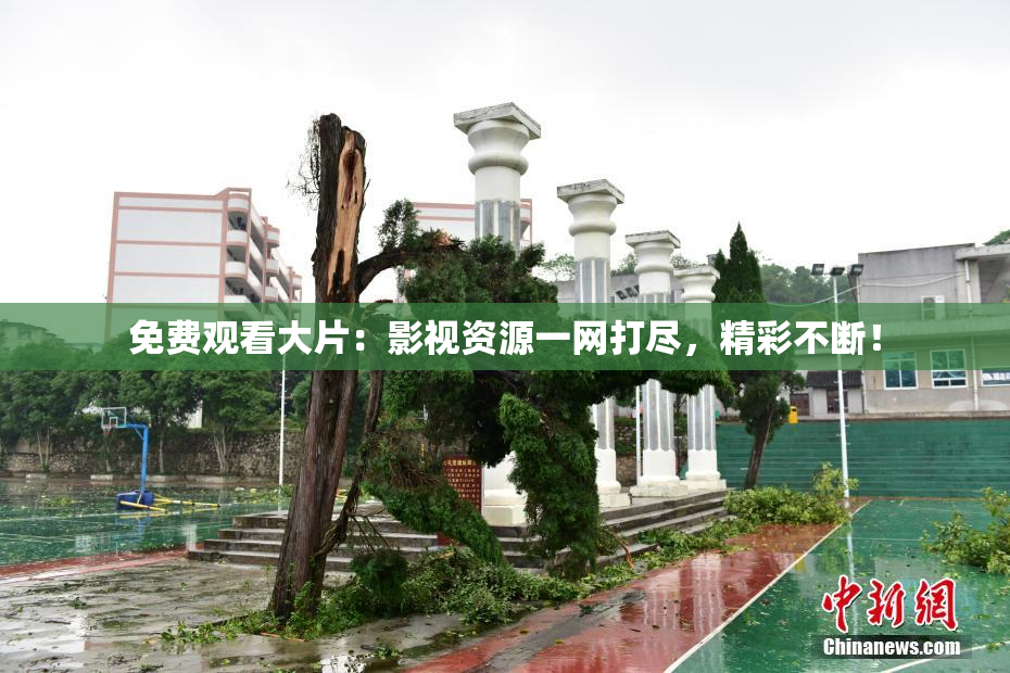 免费观看大片：影视资源一网打尽，精彩不断！