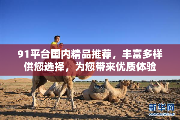 91平台国内精品推荐，丰富多样供您选择，为您带来优质体验