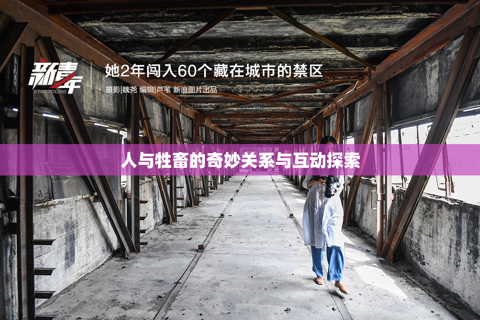 人与牲畜的奇妙关系与互动探索