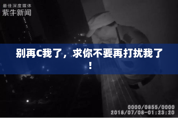 别再C我了，求你不要再打扰我了！