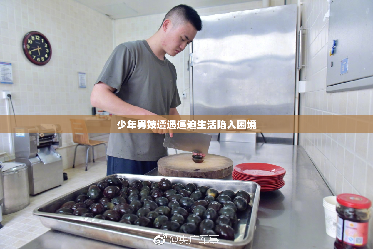 少年男妓遭遇逼迫生活陷入困境