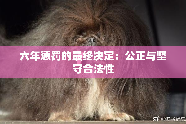 六年惩罚的最终决定：公正与坚守合法性