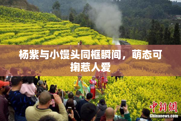 杨紫与小馒头同框瞬间，萌态可掬惹人爱