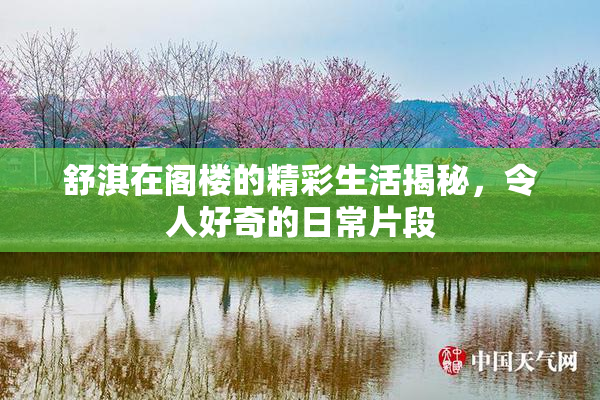 舒淇在阁楼的精彩生活揭秘，令人好奇的日常片段