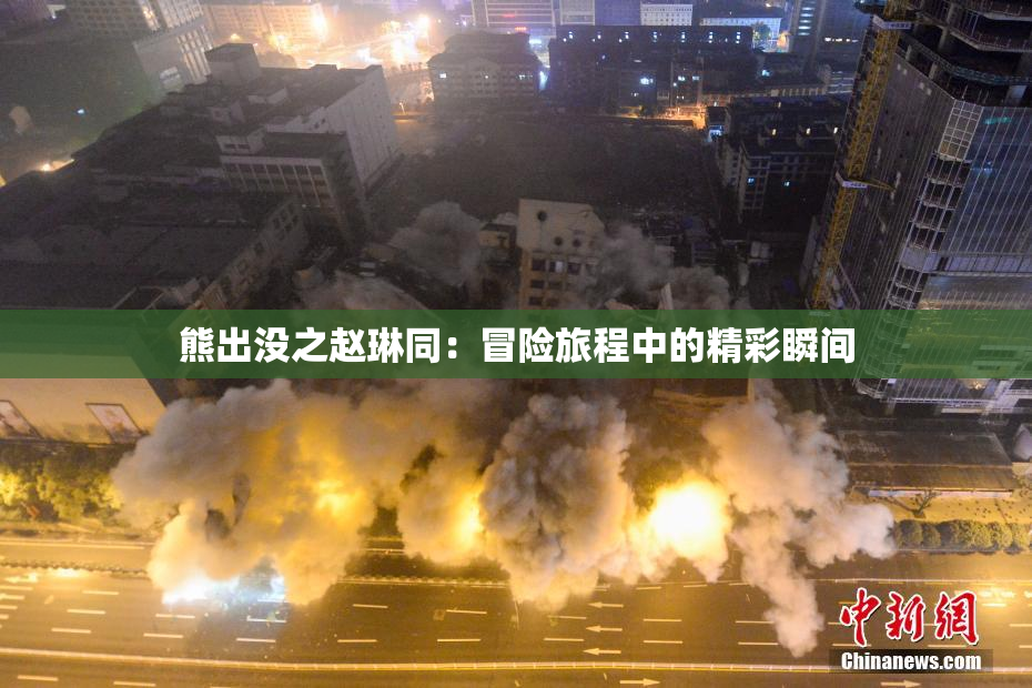 熊出没之赵琳同：冒险旅程中的精彩瞬间
