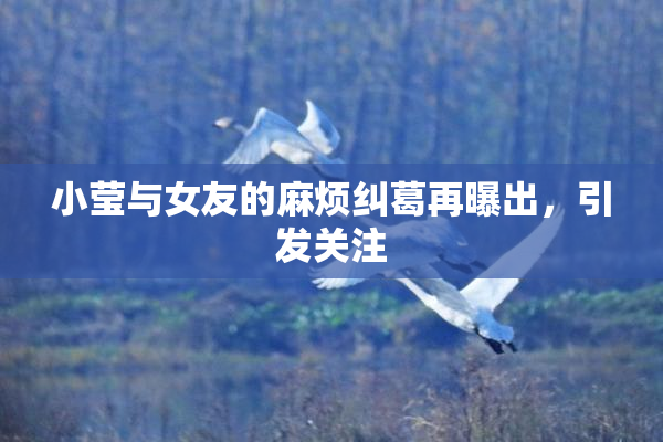 小莹与女友的麻烦纠葛再曝出，引发关注