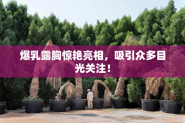 爆乳露胸惊艳亮相，吸引众多目光关注！