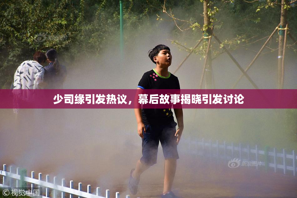 少司缘引发热议，幕后故事揭晓引发讨论