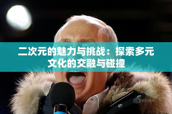 二次元的魅力与挑战：探索多元文化的交融与碰撞
