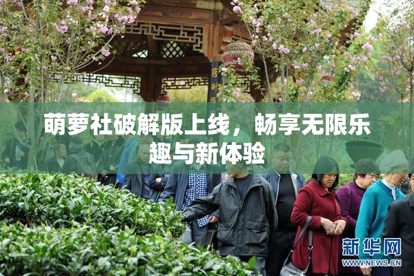 萌萝社破解版上线，畅享无限乐趣与新体验