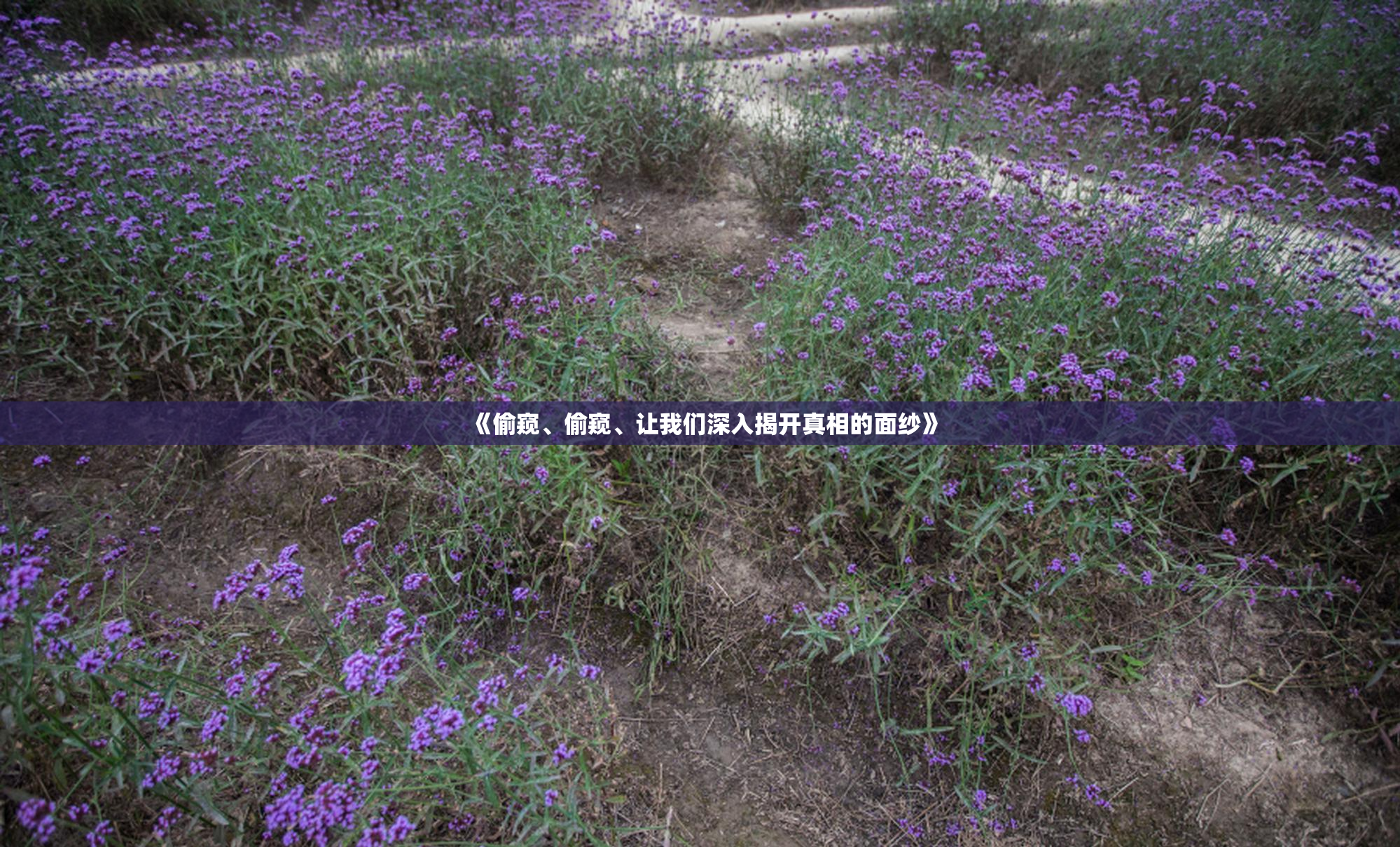 《偷窥、偷窥、让我们深入揭开真相的面纱》