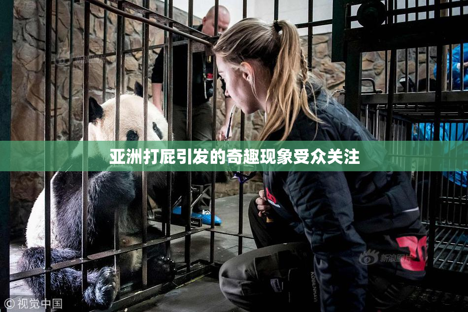 亚洲打屁引发的奇趣现象受众关注