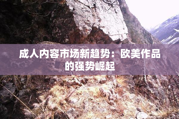 成人内容市场新趋势：欧美作品的强势崛起