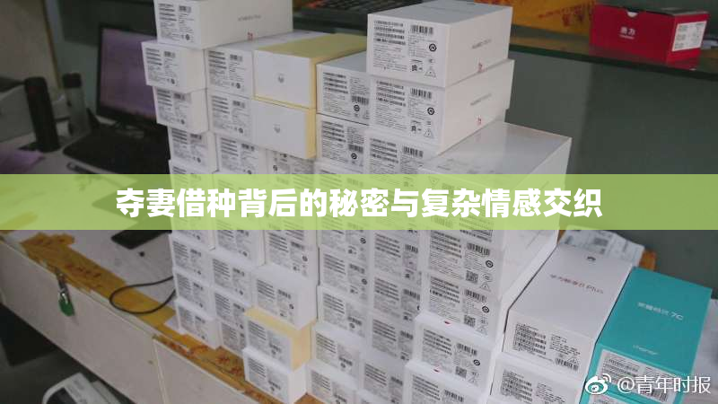 夺妻借种背后的秘密与复杂情感交织