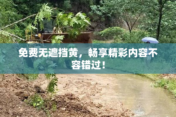 免费无遮挡黄，畅享精彩内容不容错过！