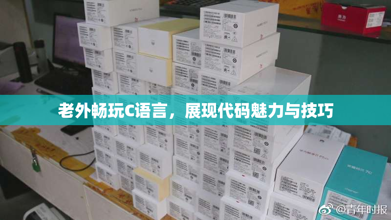 老外畅玩C语言，展现代码魅力与技巧