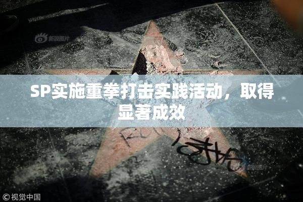 SP实施重拳打击实践活动，取得显著成效