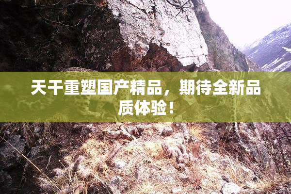 天干重塑国产精品，期待全新品质体验！