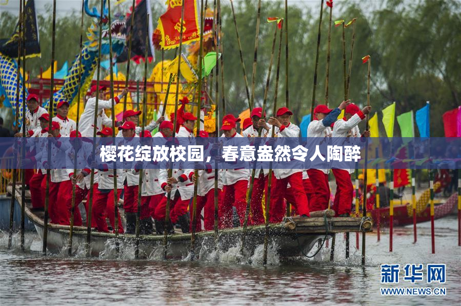 樱花绽放校园，春意盎然令人陶醉