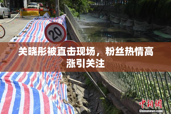 关晓彤被直击现场，粉丝热情高涨引关注