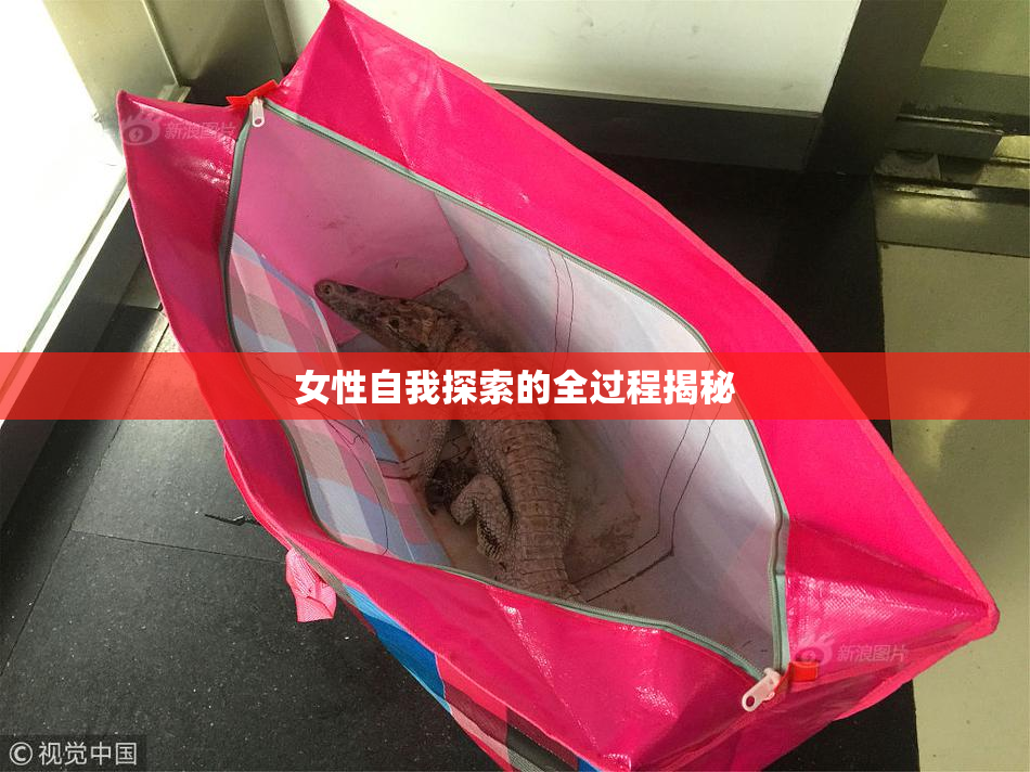 女性自我探索的全过程揭秘
