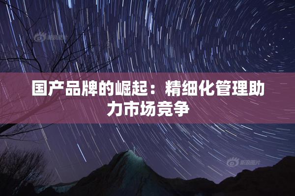 国产品牌的崛起：精细化管理助力市场竞争