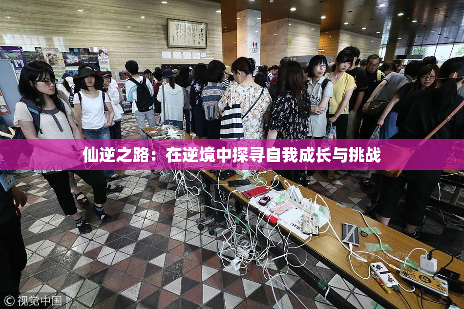 仙逆之路：在逆境中探寻自我成长与挑战