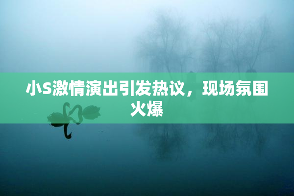 小S激情演出引发热议，现场氛围火爆