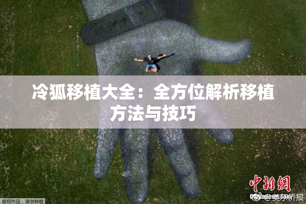 冷狐移植大全：全方位解析移植方法与技巧