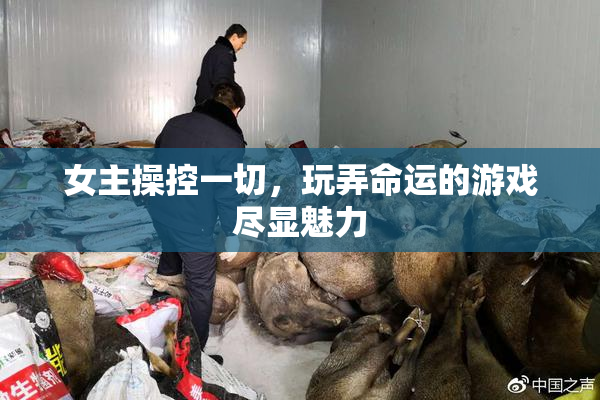 女主操控一切，玩弄命运的游戏尽显魅力