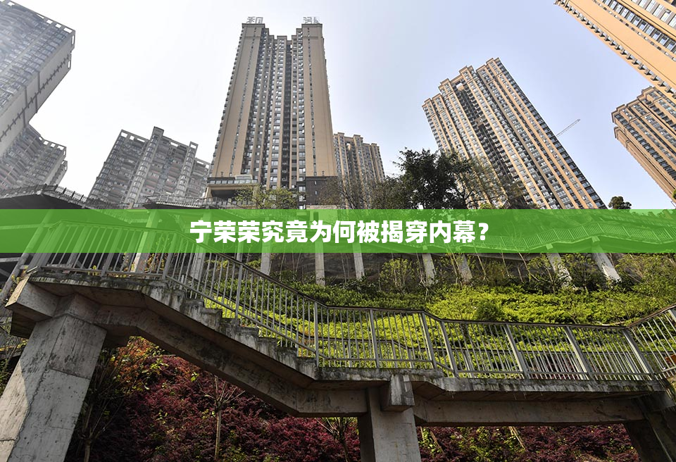 宁荣荣究竟为何被揭穿内幕？