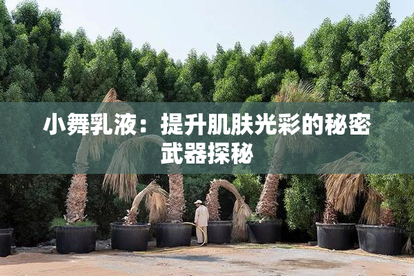 小舞乳液：提升肌肤光彩的秘密武器探秘