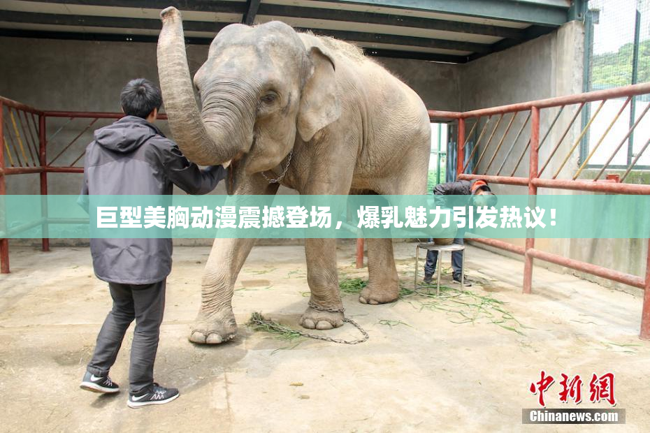 巨型美胸动漫震撼登场，爆乳魅力引发热议！
