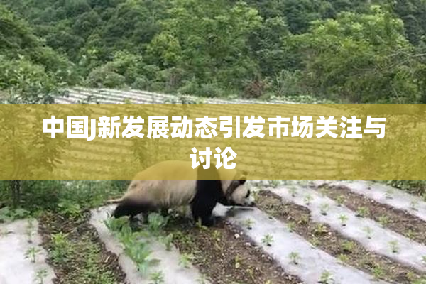 中国J新发展动态引发市场关注与讨论