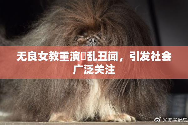 无良女教重演婬乱丑闻，引发社会广泛关注