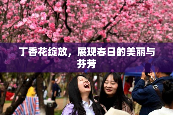丁香花绽放，展现春日的美丽与芬芳