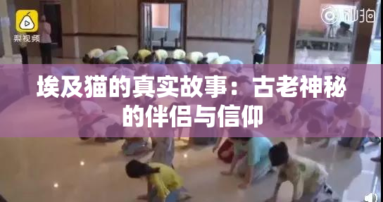埃及猫的真实故事：古老神秘的伴侣与信仰