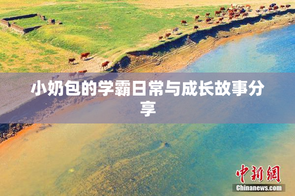 小奶包的学霸日常与成长故事分享