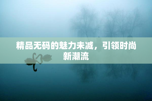 精品无码的魅力未减，引领时尚新潮流