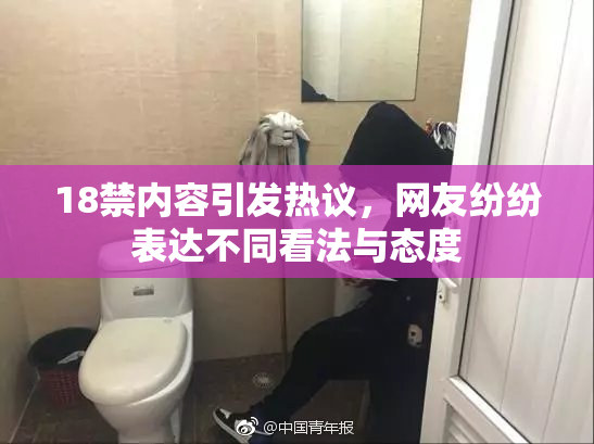 18禁内容引发热议，网友纷纷表达不同看法与态度
