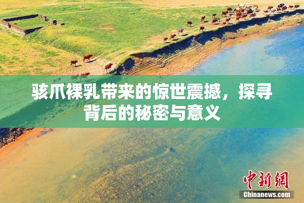骇爪裸乳带来的惊世震撼，探寻背后的秘密与意义